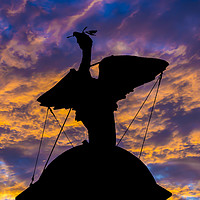 Buy canvas prints of Liver Bird by Paul Madden