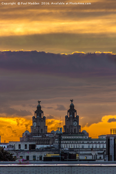 Sunset over the Liver Building Picture Board by Paul Madden