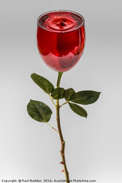 A glass of rose Picture Board by Paul Madden