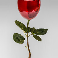 Buy canvas prints of A glass of rose by Paul Madden