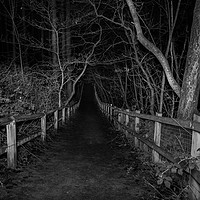 Buy canvas prints of An unwelcoming path by Paul Madden