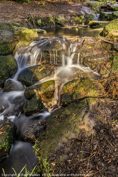 Sefton Park Waterfall Picture Board by Paul Madden