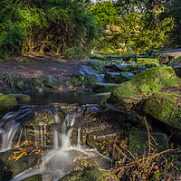 Buy canvas prints of The Fairy Glen of Sefton Park by Paul Madden