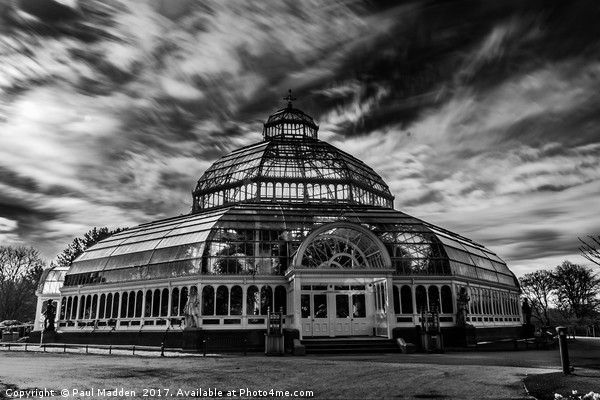 Sefton Park Palm House Picture Board by Paul Madden