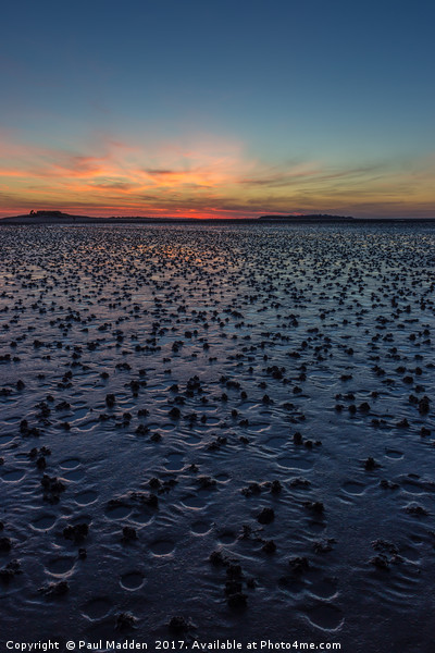 Sunset across the wet sand Picture Board by Paul Madden