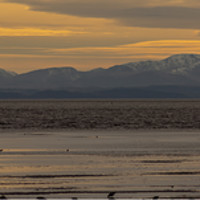 Buy canvas prints of Welsh Mountains From Crosby Beach by Paul Madden