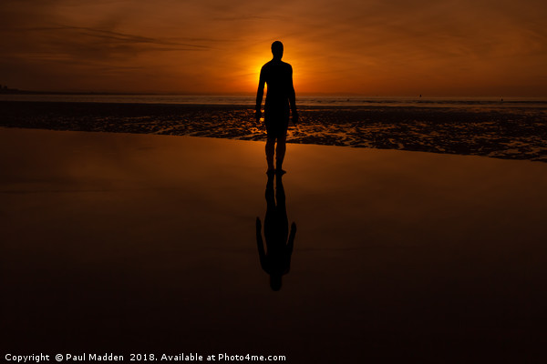 Crosby Beach at Sunset Picture Board by Paul Madden