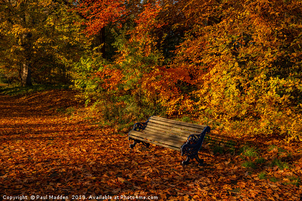 Park bench in Autumn Picture Board by Paul Madden
