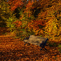 Buy canvas prints of Park bench in Autumn by Paul Madden