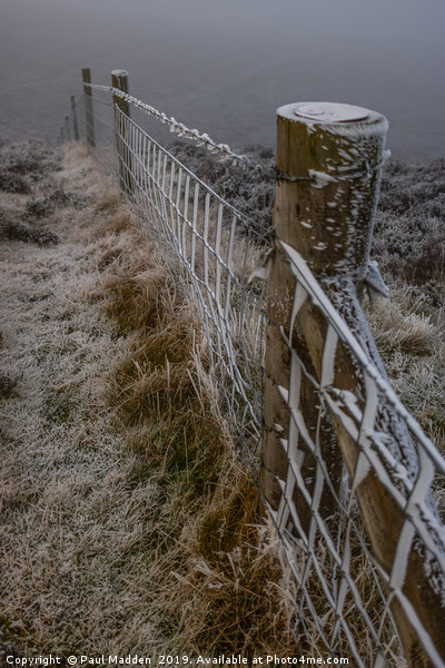 Frosted Fence at Moel Famau Picture Board by Paul Madden
