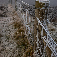 Buy canvas prints of Frosted Fence at Moel Famau by Paul Madden