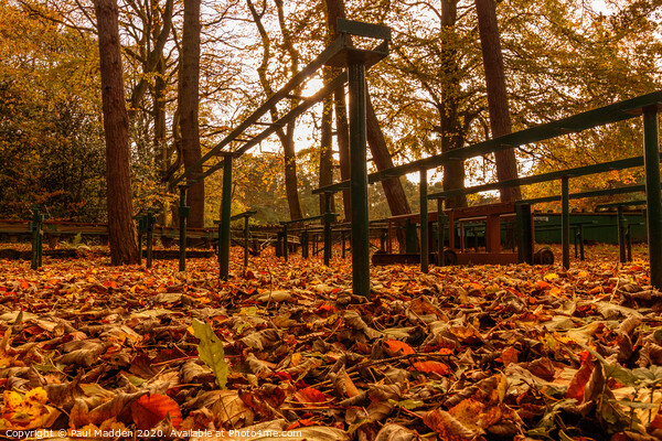 Autumn at Royden Park Picture Board by Paul Madden