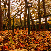 Buy canvas prints of Autumn at Royden Park by Paul Madden