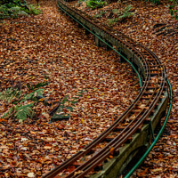 Buy canvas prints of Railway in Royden Park by Paul Madden