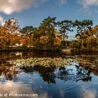 Buy canvas prints of Royden Park Lake by Paul Madden