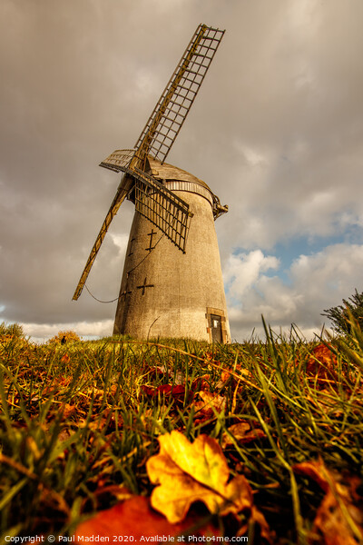 Bidston Hill Windmill Picture Board by Paul Madden