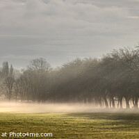Buy canvas prints of Sefton Park Morning Mist by Paul Madden