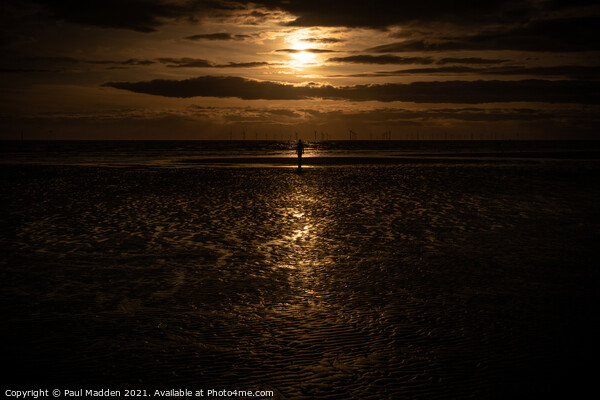 Crosby Beach Golden Sunset Picture Board by Paul Madden