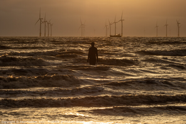 High tide Crosby Beach Picture Board by Paul Madden