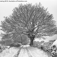 Buy canvas prints of Snowy farm lane and tree by RSRD Images 