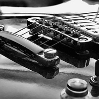 Buy canvas prints of Epiphone Tune-O-Matic bridge and Humbucker in mono by RSRD Images 
