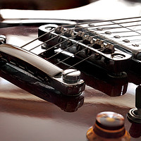 Buy canvas prints of Epiphone Tune-O-Matic bridge and Humbucker. by RSRD Images 