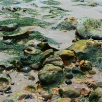 Buy canvas prints of West Mersea Beach by Luke Wakely