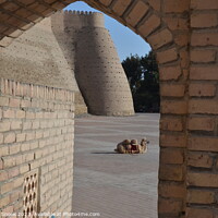 Buy canvas prints of Bukhara City Wall by Malcolm Snook