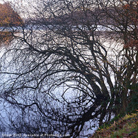 Buy canvas prints of Reflections of autumn by Malcolm Snook