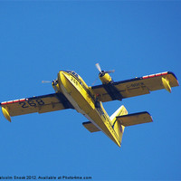 Buy canvas prints of Yellow Seaplane by Malcolm Snook