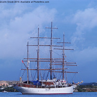 Buy canvas prints of Tall Ship Entering Mahon by Malcolm Snook