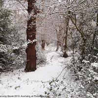 Buy canvas prints of Epping Forest In The Snow by Malcolm Snook