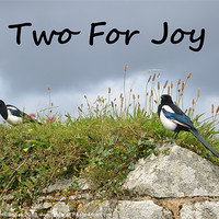 Buy canvas prints of Two For Joy by Malcolm Snook