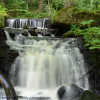 Buy canvas prints of Forest Waterfall by Malcolm Snook
