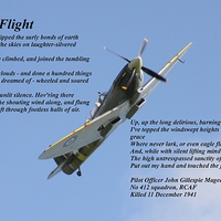Buy canvas prints of High Flight by Malcolm Snook