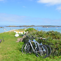 Buy canvas prints of Cycling In The Isles Of Scilly by Malcolm Snook