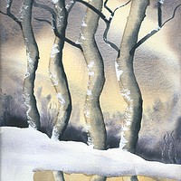 Buy canvas prints of Frozen Forest by Malcolm Snook