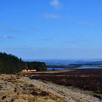 Buy canvas prints of View From Redmires                            by Malcolm Snook