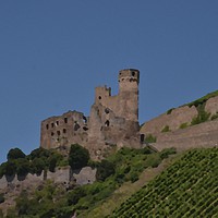 Buy canvas prints of Rhine Castle And Vineyards by Malcolm Snook