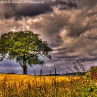 Buy canvas prints of Angry Sky by Keith Cullis
