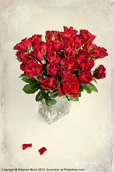 Vase of Red Roses Picture Board by Stephen Birch