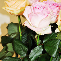 Buy canvas prints of fresh cut banch roses pink yellow by Nataliya Lazaryeva