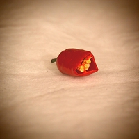 Buy canvas prints of Red Chilli Pepper by Michael Bolton