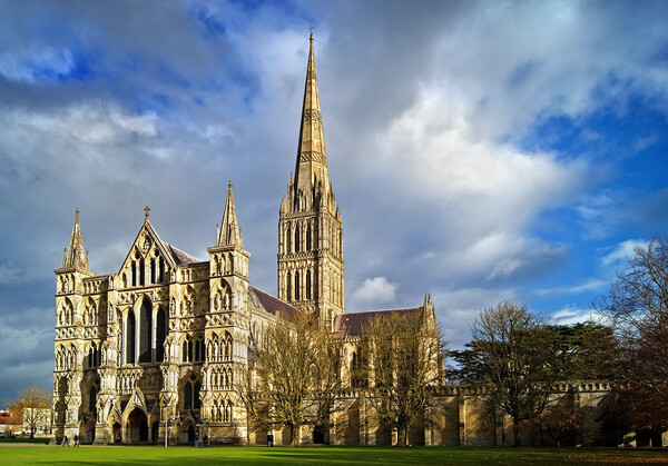 Salisbury Cathedral Picture Board by Darren Galpin