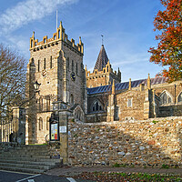 Buy canvas prints of St Mary's Church, Ottery St Mary by Darren Galpin