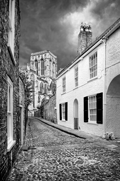Chapter House Street and York Minster   Picture Board by Darren Galpin