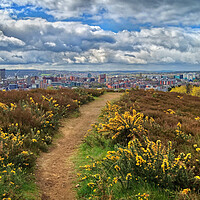 Buy canvas prints of Parkwood Springs View over Sheffield  by Darren Galpin