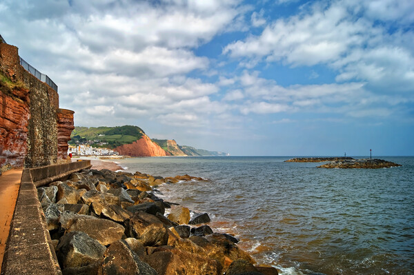Coastline at Sidmouth    Picture Board by Darren Galpin