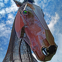 Buy canvas prints of Featherstone War Horse  by Darren Galpin
