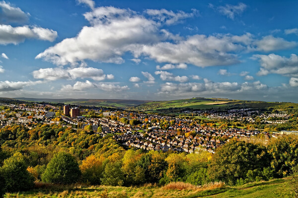 The Bole Hills in Crookes, Sheffield Picture Board by Darren Galpin